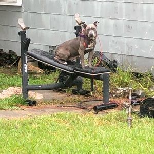 Meet your Posher, Tyrelle